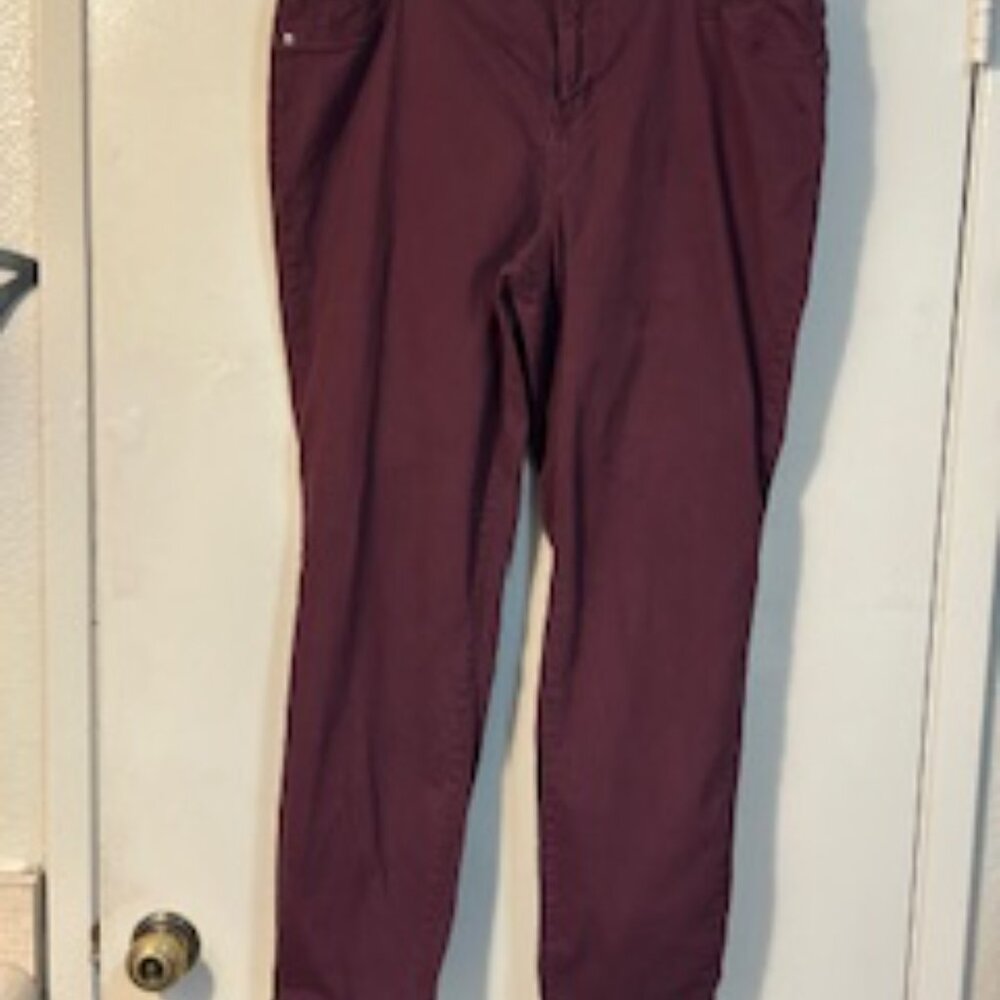AG Denim Jeans – Burgundy – Size 16W